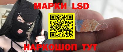 индика Лесосибирск