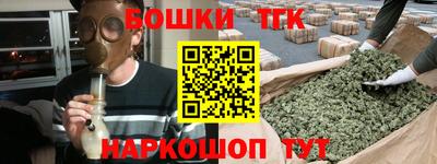 индика Лесосибирск