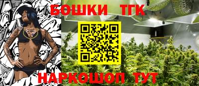 индика Лесосибирск