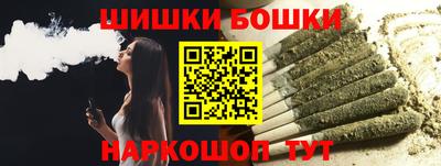 индика Лесосибирск
